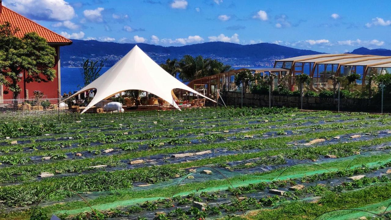 Augusta Eco Wellness Resort 4 Superior 桑亨霍 外观 照片