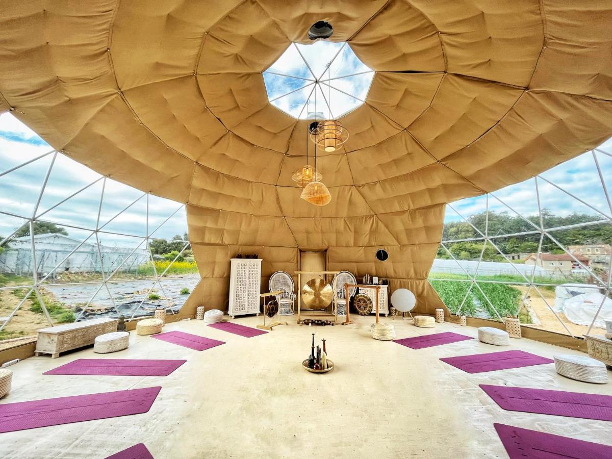 Augusta Eco Wellness Resort 4 Superior 桑亨霍 外观 照片