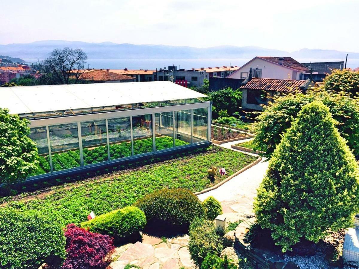 Augusta Eco Wellness Resort 4 Superior 桑亨霍 外观 照片